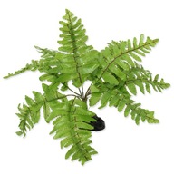 Repti Planet umelá stojaca papraď papraď terárium dekor 20 cm Repti Planet umelá stojaca papraď papraď terárium dekor 20 cm