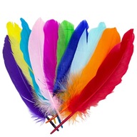 Husacie perie 15-20cm 10ks Loveart Colorful