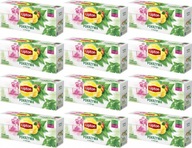 Lipton bylinkový čaj zo žihľavy a manga v sáčkoch 20 ks x 12 Lipton bylinkový čaj zo žihľavy a manga v sáčkoch 20 ks x 12