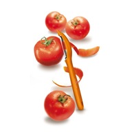 Victorinox škrabka 7.6075.9, univerzálna Victorinox škrabka 7.6075.9, univerzálna