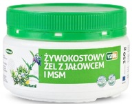Virde kostihojový gél s borievkou a Msm 350 G Virde kostihojový gél s borievkou a Msm 350 G