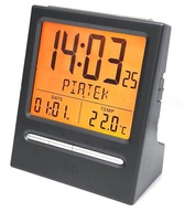 BUDÍK RB9299.2 BUDÍKY DVOJDŇA V TÝŽDNI V POĽSKU BUDÍK RB9299.2 BUDÍKY DVOJDŇA V TÝŽDNI V POĽSKU