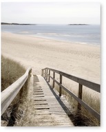 Plagát Boho BEACH SEA 40x50 cm #110 Plagát Boho BEACH SEA 40x50 cm #110