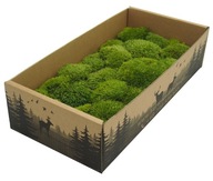 Vankúš Moss Svetlozelená, krabička 0,2 kg SIEŤ Vankúš Moss Svetlozelená, krabička 0,2 kg SIEŤ