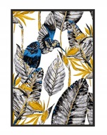 OBRAZOVÝ PLAGÁT V RÁME 33x43 cm Kolibrík P1112 OBRAZOVÝ PLAGÁT V RÁME 33x43 cm Kolibrík P1112