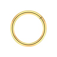 Titánová, zlatá Clicker náušnica - Prsteň - Helix - Titanium - 1,0/8 Titánová, zlatá Clicker náušnica - Prsteň - Helix - Titanium - 1,0/8