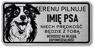 Podpísať pozornosť psa Border Collie psie meno Podpísať pozornosť psa Border Collie psie meno