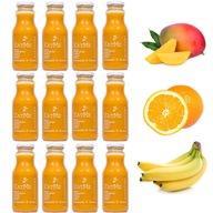 Smoothie mousse 100% mango banán pomaranč 12x250ml Smoothie mousse 100% mango banán pomaranč 12x250ml