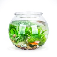Plastová guľa do akvária Noblez s objemom 2,8 litra
