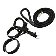 Súprava pre postroj na vodítko pre psov a mačky L Black Súprava pre postroj na vodítko pre psov a mačky L Black