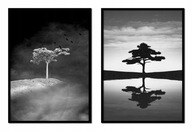 OBRAZOVÉ PLAGÁTY V RÁME 53x73cm Diptych Strom P1719 OBRAZOVÉ PLAGÁTY V RÁME 53x73cm Diptych Strom P1719