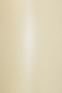 Papier Aster Metallic 250g ecru bodky 100A4 Papier Aster Metallic 250g ecru bodky 100A4