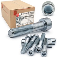M6x60 imbusová skrutka, pozinkovaná, VALEC, DIN 912, 1kg M6x60 imbusová skrutka, pozinkovaná, VALEC, DIN 912, 1kg