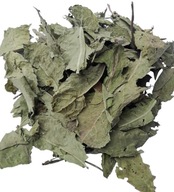 Púpava lekársky list 1000 g Púpava lekársky list 1000 g