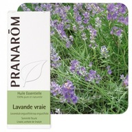 Esenciálny olej LEVANDUĽA Levanduľa levanduľa Lavandula angustifolia 10 ml