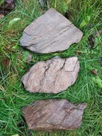 Korytnačí kameň do terária, akvária, plochá bridlica, 15-20 cm