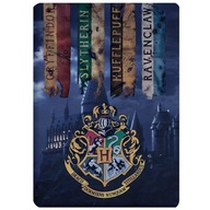 Fleecová deka Harry Potter (981861)