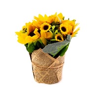 DEKORATÍVNA RASTLINA SLNEČNICA V ČREPENÍ 18CM DEKORATÍVNA RASTLINA SLNEČNICA V ČREPENÍ 18CM