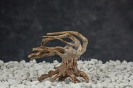Bonsai Patagónia strom aqua bonsai naplavené drevo