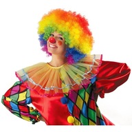 Parochňa cirkusového klauna