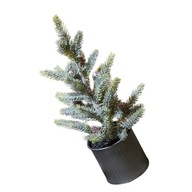 1ks Bottle Brush Tree Malý vianočný stromček