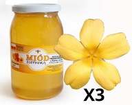 Repkový med 3x 1KG - Jemnej chuti Repkový med 3x 1KG - Jemnej chuti