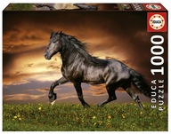 Educa Puzzle 1000 Klusací kôň Educa Puzzle 1000 Klusací kôň
