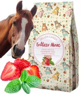 CUKROVKY PRE KONE lahôdkové maškrty KERBL Delizia Candy JAHODA 600g CUKROVKY PRE KONE lahôdkové maškrty KERBL Delizia Candy JAHODA 600g