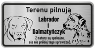 Pozor Pes Nerezová doska Labrador
