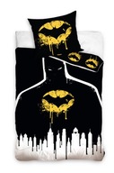 160X200 OBRÁBITEĽNÉ POSTEĽNE LOGO BATMAN DC STORM 160X200 OBRÁBITEĽNÉ POSTEĽNE LOGO BATMAN DC STORM