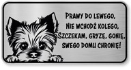 Pozor znamenie York Dog