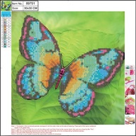 5D diamantová mozaika 30x30cm Butterfly 89751