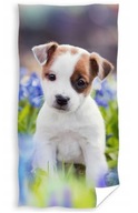 PLÁŽOVÝ OTERÁK 70x140 PRE DETI, BAVLNÝ Psík JACK RUSSELL
