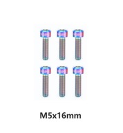 RIZIKO 6ks M5x16mm/ M5x18mm Titanium Screw Mat RIZIKO 6ks M5x16mm/ M5x18mm Titanium Screw Mat