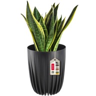 EKO PRIKRYTKA HRNCE + ČIERNA VLOŽKA 30x36CM EKO PRIKRYTKA HRNCE + ČIERNA VLOŽKA 30x36CM
