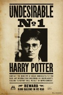 Plagát Harry Potter Nežiaduci č.1 61x91,5 cm Plagát Harry Potter Nežiaduci č.1 61x91,5 cm