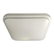 Stropné LED svietidlo GREG 13W Stropné LED svietidlo GREG 13W