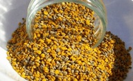 VČELÍ PEL 5 kg PRÍRODNÉ vitamíny VČELÍ PEL 5 kg PRÍRODNÉ vitamíny