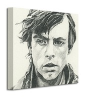 Star Wars Luke Skywalker Obrazové plátno 30x30cm Star Wars Luke Skywalker Obrazové plátno 30x30cm