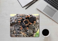 HAMORII spider bird podložka pod myš HAMORII spider bird podložka pod myš