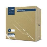 GOLD PAW obrúsky netkané 40x40 50 ks GOLD PAW obrúsky netkané 40x40 50 ks