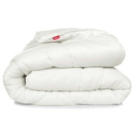 Paplón 200x220 Zimné mikrovlákno Mery Warm Paplón 200x220 Zimné mikrovlákno Mery Warm