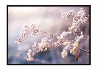 OBRAZOVÝ PLAGÁT V RÁME 53x73 cm Vetvička P1618 OBRAZOVÝ PLAGÁT V RÁME 53x73 cm Vetvička P1618