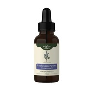 Tinktura z červenej šalvie 1:1 50ml Magic Garden