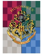 DEKA fleecová deka 140x100c HARRY POTTER 100x140cm DEKA fleecová deka 140x100c HARRY POTTER 100x140cm