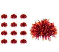 Chryzantéma Aster červeno-oranžová hlava 12 kusov