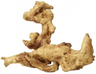 AQUA DELLA Coffee Root2 Umelý koreň 234-421604 AQUA DELLA Coffee Root2 Umelý koreň 234-421604