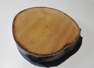 Drevené brezové plátky 13-15cm / 2,5 Drevené krúžky