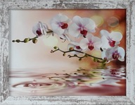 OBRAZ 35x45 ORCHID KVET KVET BIELY RÁM OBRAZ 35x45 ORCHID KVET KVET BIELY RÁM