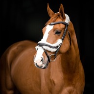 HORZE Uzda 2v1 ROME SNAFFLE Hnedá (R: Full) HORZE Uzda 2v1 ROME SNAFFLE Hnedá (R: Full)